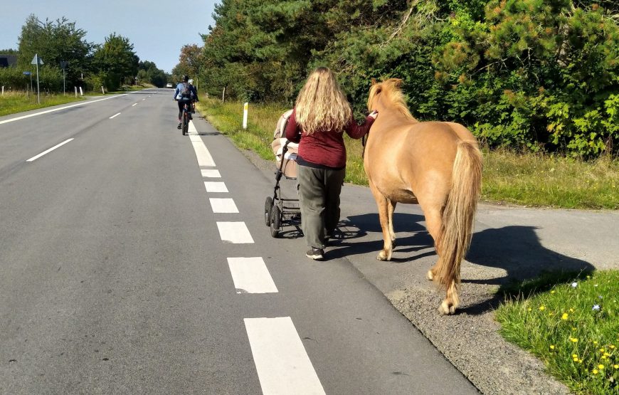 Podlasie i&nbsp;Suwalszczyzna  23-30.08.2026