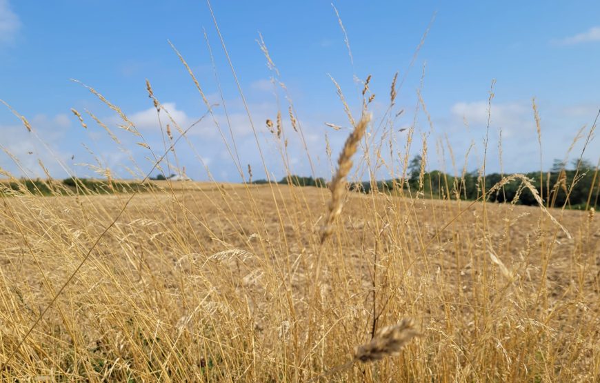 Kaszuby i&nbsp;Bory Tucholskie – 06-13.06.2026