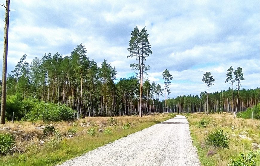 Kaszuby i&nbsp;Bory Tucholskie – 06-13.06.2026
