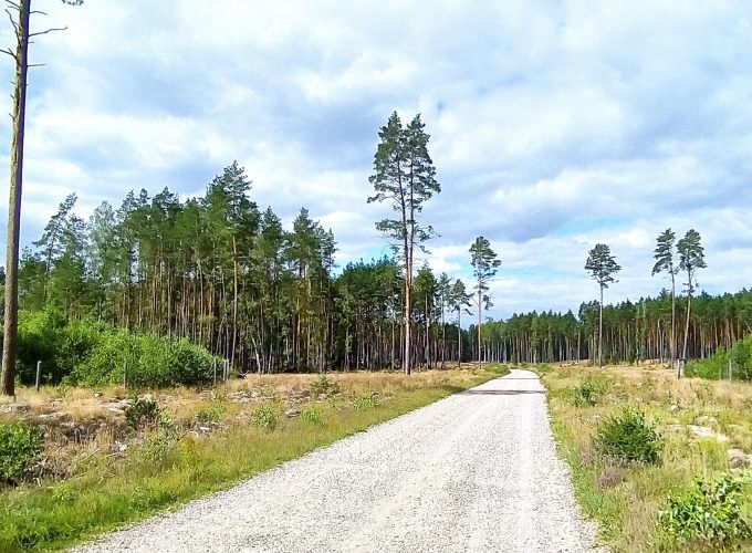 Kaszuby i&nbsp;Bory Tucholskie – 06-13.06.2026