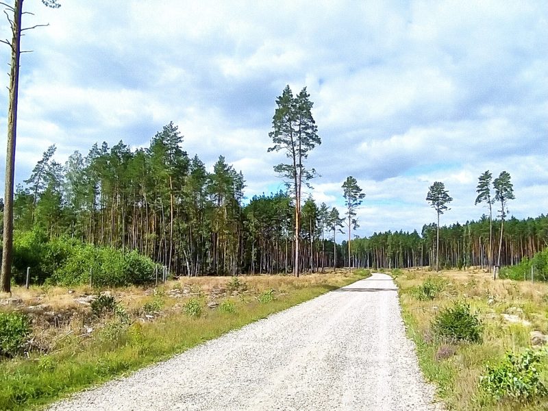 Kaszuby i&nbsp;Bory Tucholskie – 06-13.06.2026