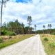 Kaszuby i&nbsp;Bory Tucholskie – 06-13.06.2026