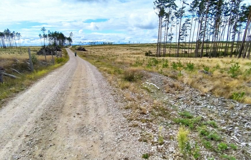 Kaszuby i&nbsp;Bory Tucholskie – 06-13.06.2026