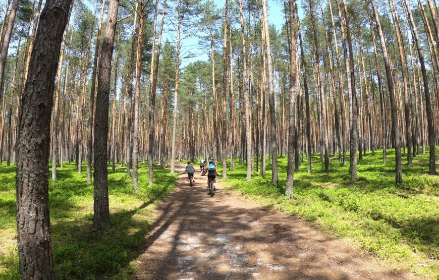 Roztocze – 9-15.05.2026
