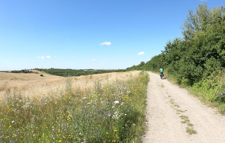 Roztocze – 9-15.05.2026