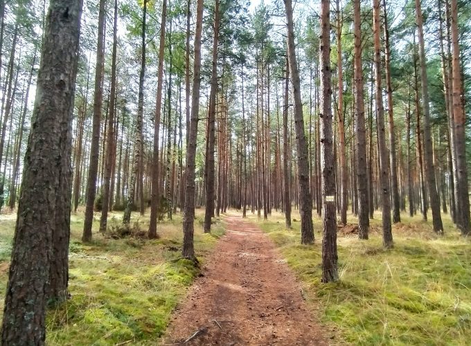 Roztocze – 9-15.05.2026