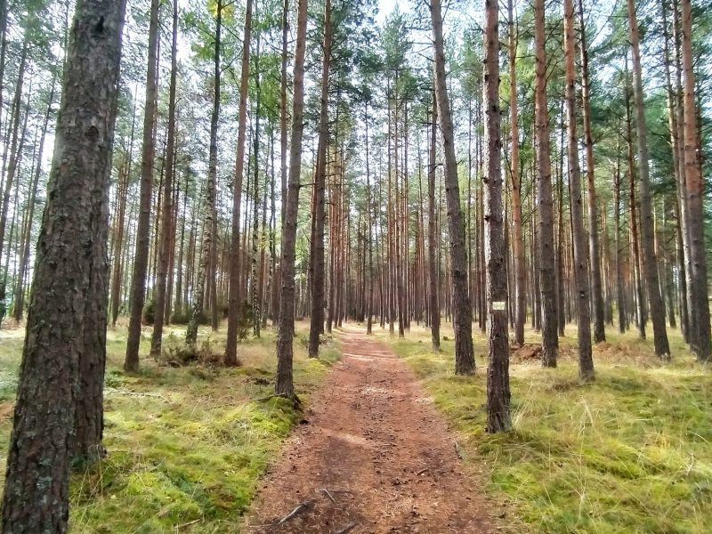 Roztocze – 9-15.05.2026
