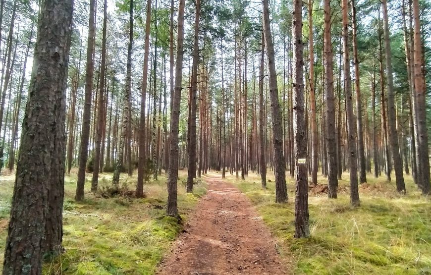 Roztocze – 9-15.05.2026