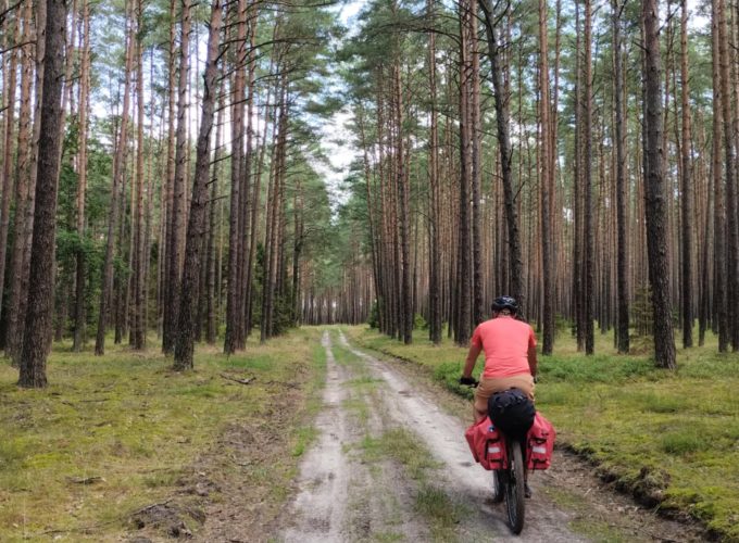 Lasy nad&nbsp;górną Liswartą – 10-12.04.2026