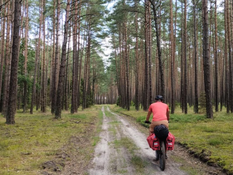Lasy nad&nbsp;górną Liswartą – 10-12.04.2026