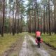 Lasy nad&nbsp;górną Liswartą – 10-12.04.2026
