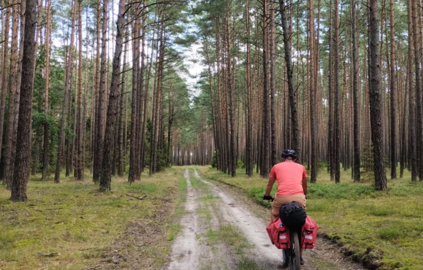 Lasy nad&nbsp;górną Liswartą – 10-12.04.2026